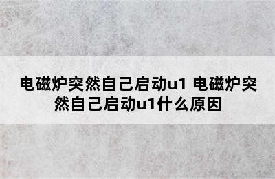 电磁炉突然自己启动u1 电磁炉突然自己启动u1什么原因